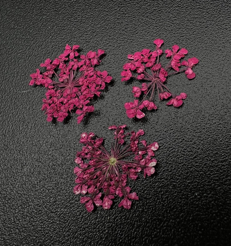 Zoo Dried Flowers 1682 "Favorite flowers"