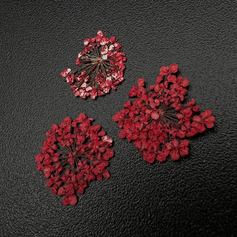 Zoo Dried Flowers 1680 "Favorite flowers"