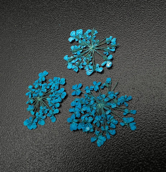 動物園乾花1678《最喜歡的花》